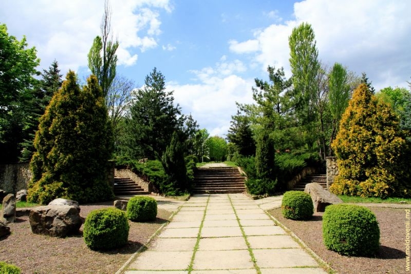 Ботанический сад в Кишиневе