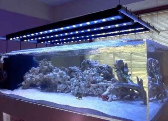 Светодиодные аквариумные светильники: преимущества и особенности