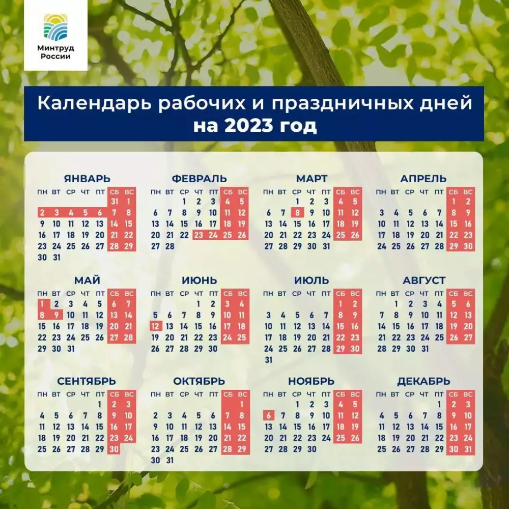 23.07.2022 Даты школьных каникул 2022-2023 года регионов России по четвертям и триместрам: осенние, зимние, весенние